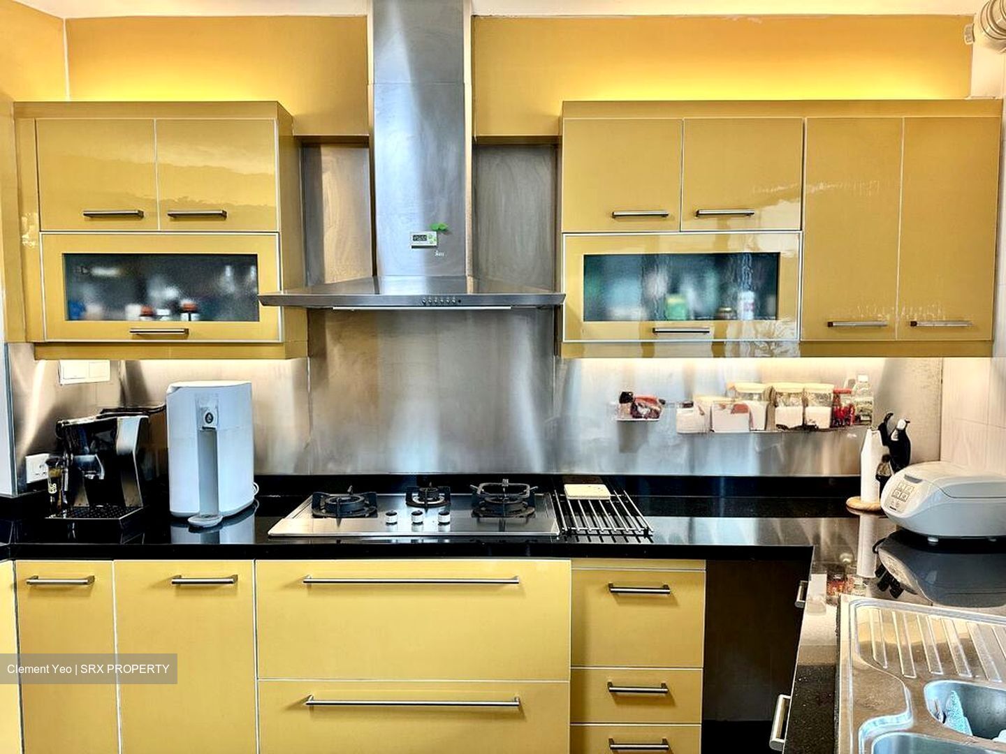 Blk 467 Segar Gardens (Bukit Panjang), HDB Executive #501159081